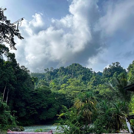Charlys Little House Hotel Bukit Lawang Buitenkant foto