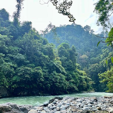Charlys Little House Hotel Bukit Lawang Buitenkant foto
