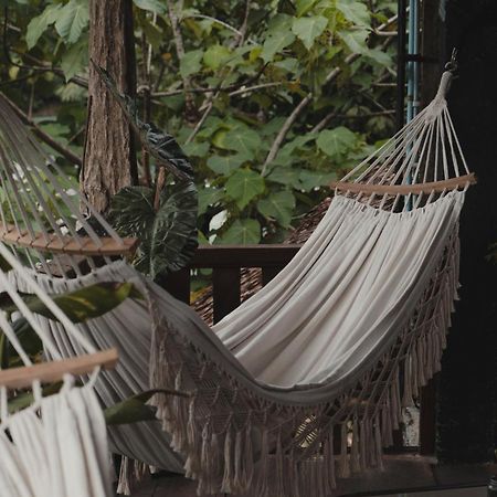 Charlys Little House Hotel Bukit Lawang Buitenkant foto