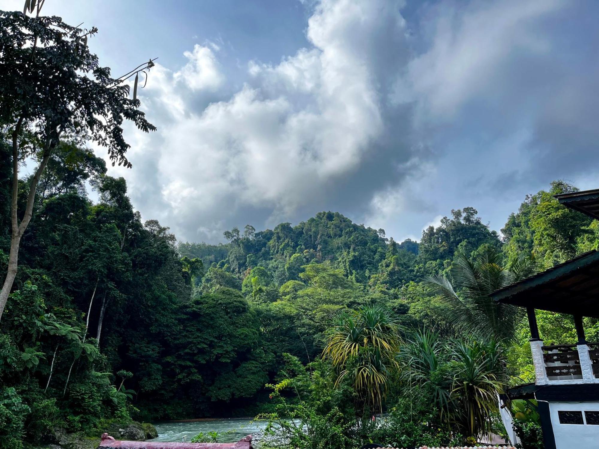 Charlys Little House Hotel Bukit Lawang Buitenkant foto