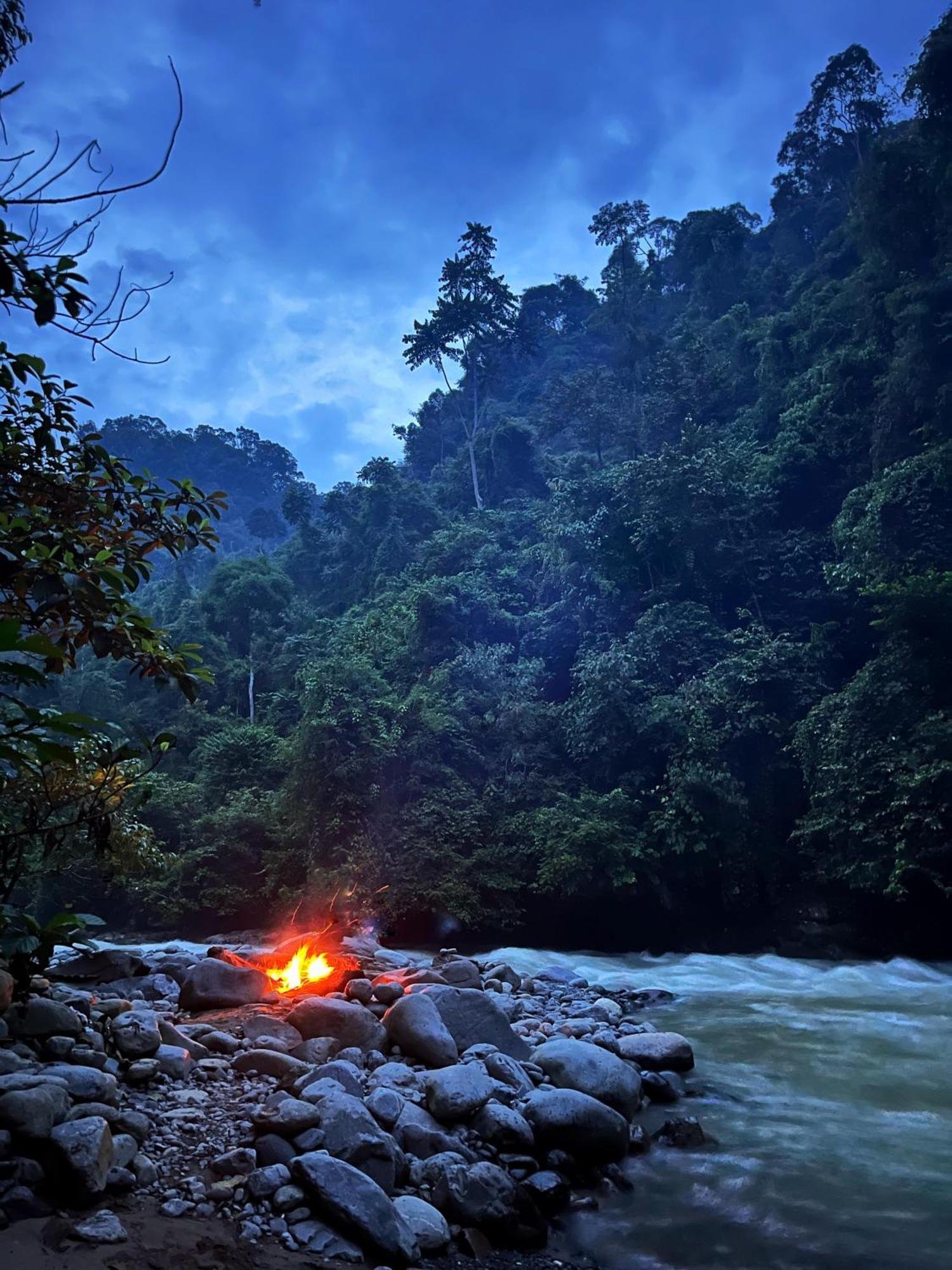 Charlys Little House Hotel Bukit Lawang Buitenkant foto