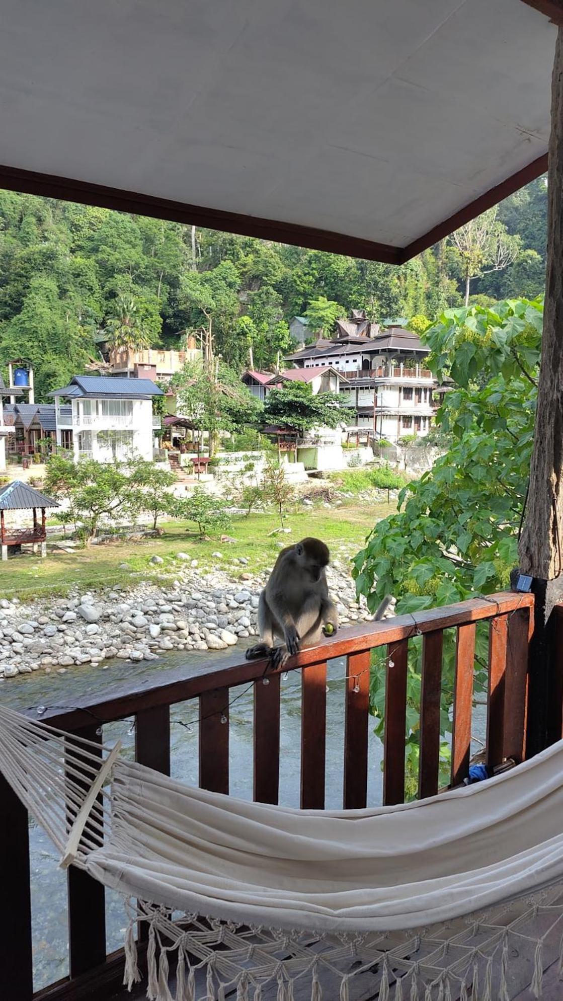 Charlys Little House Hotel Bukit Lawang Buitenkant foto