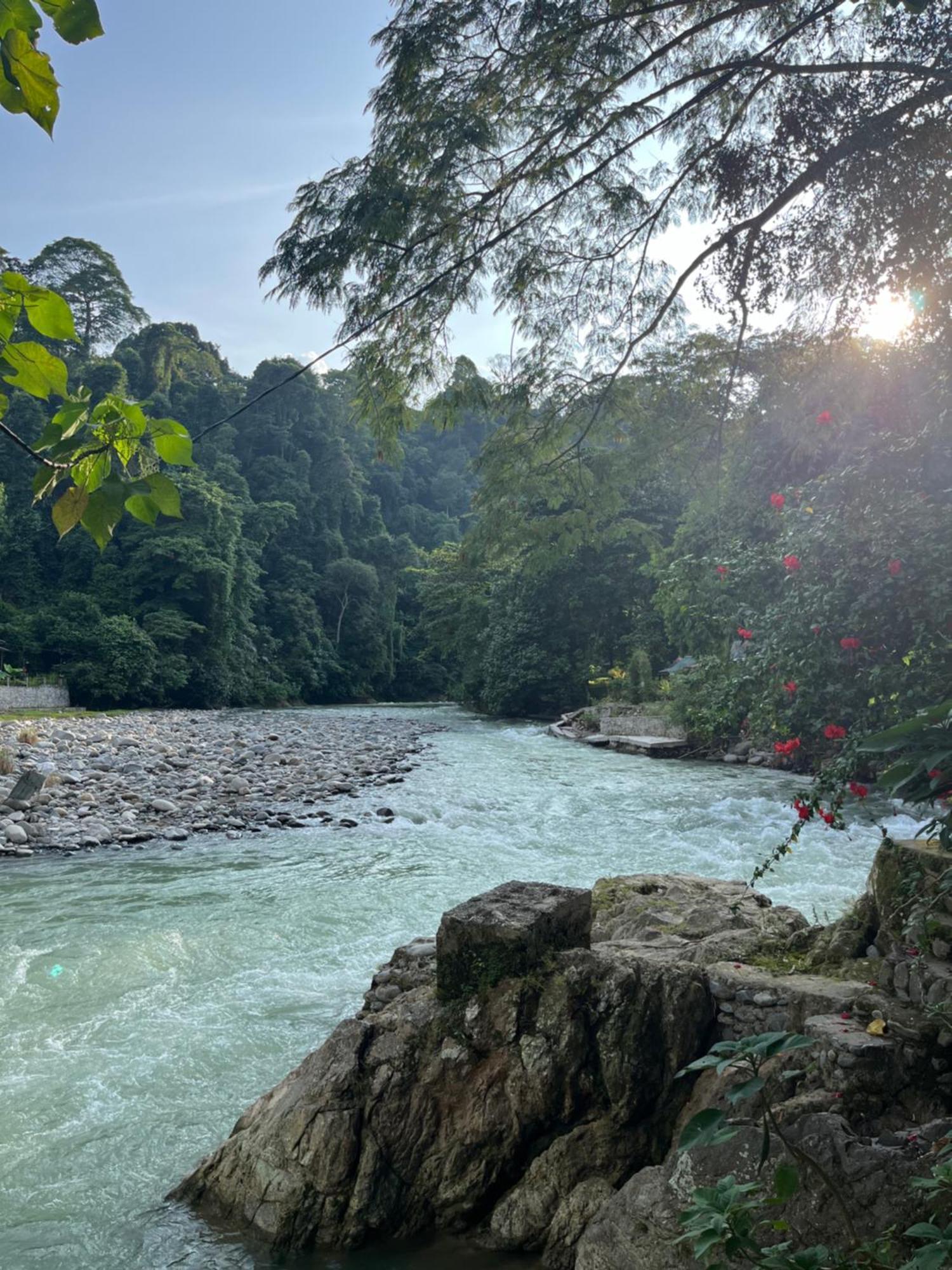 Charlys Little House Hotel Bukit Lawang Buitenkant foto