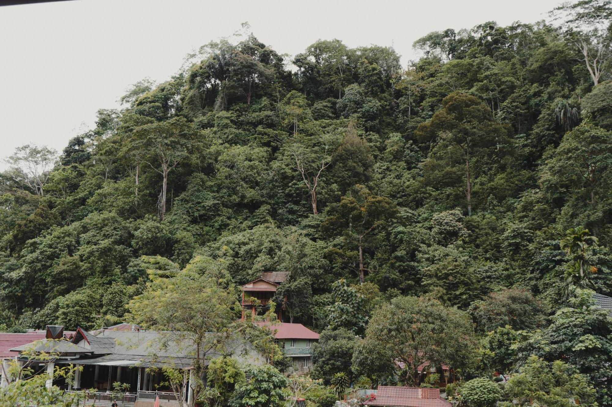 Charlys Little House Hotel Bukit Lawang Buitenkant foto