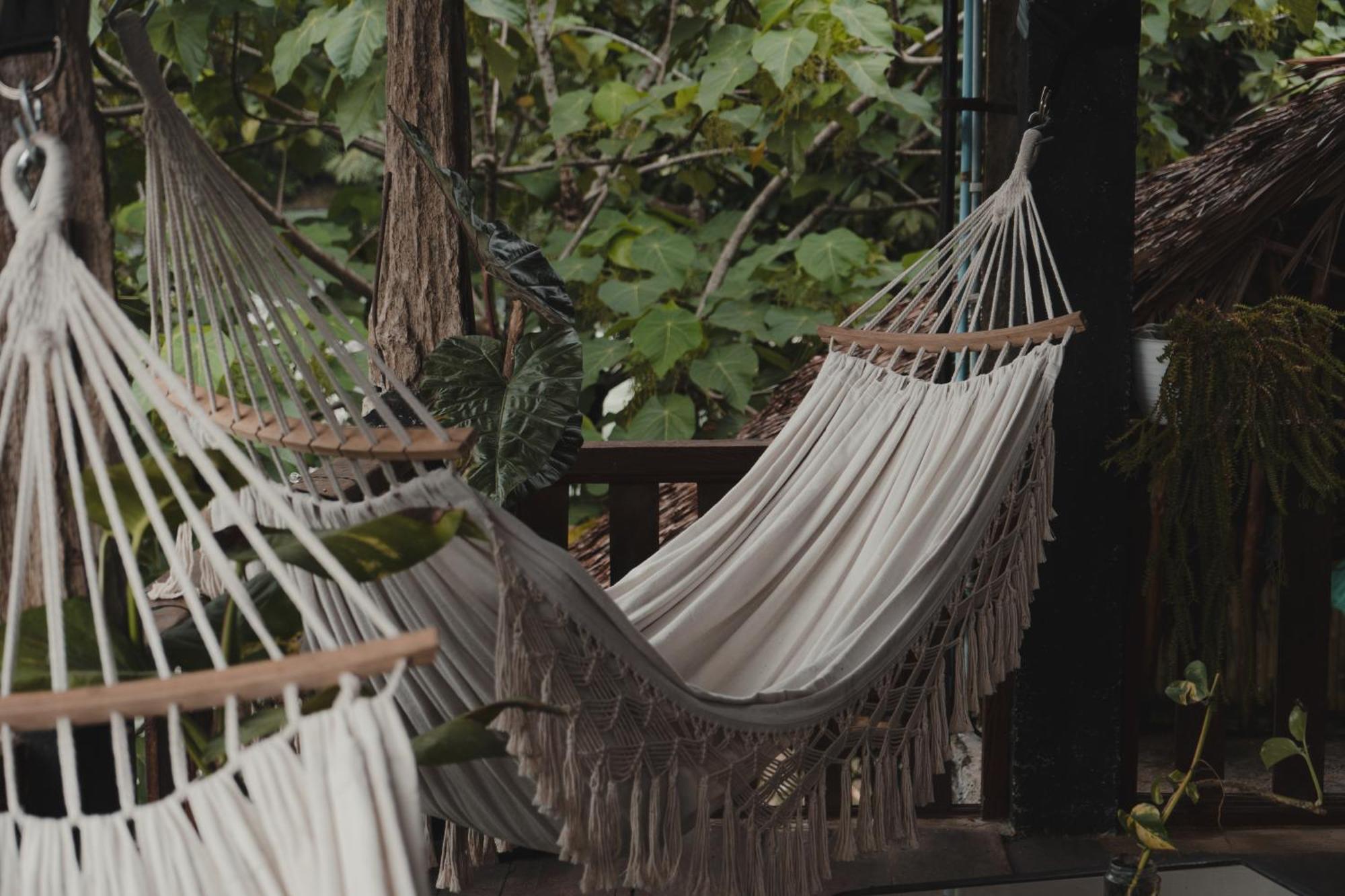 Charlys Little House Hotel Bukit Lawang Buitenkant foto