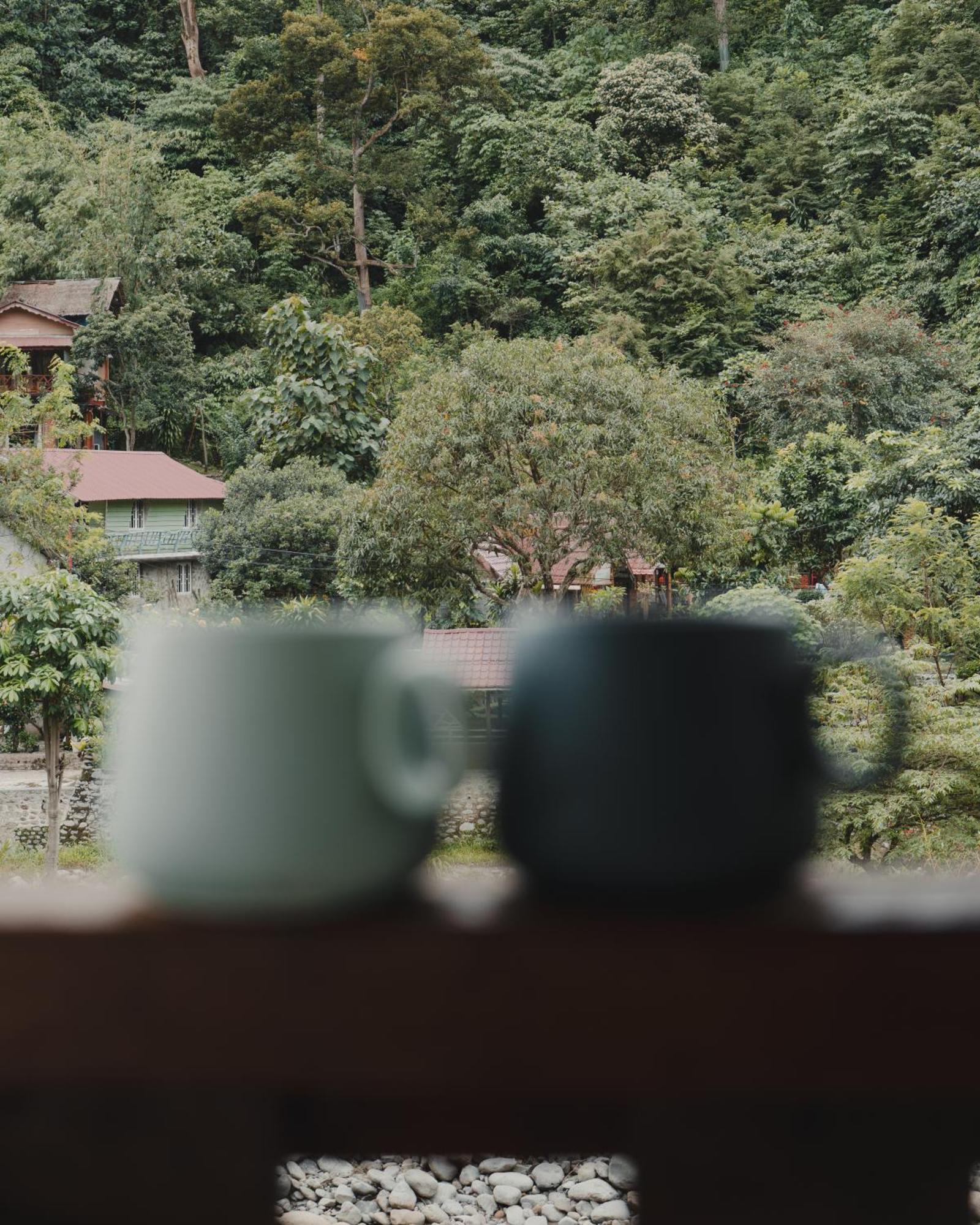 Charlys Little House Hotel Bukit Lawang Buitenkant foto